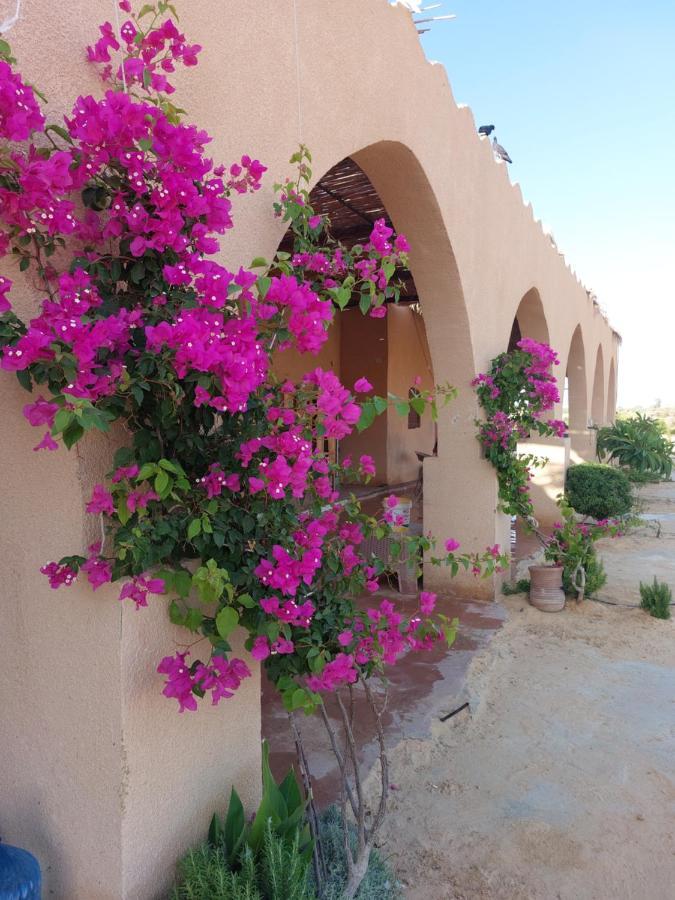 Hayaat Siwa Hot Spring Hotel Siwa Oasis Ngoại thất bức ảnh