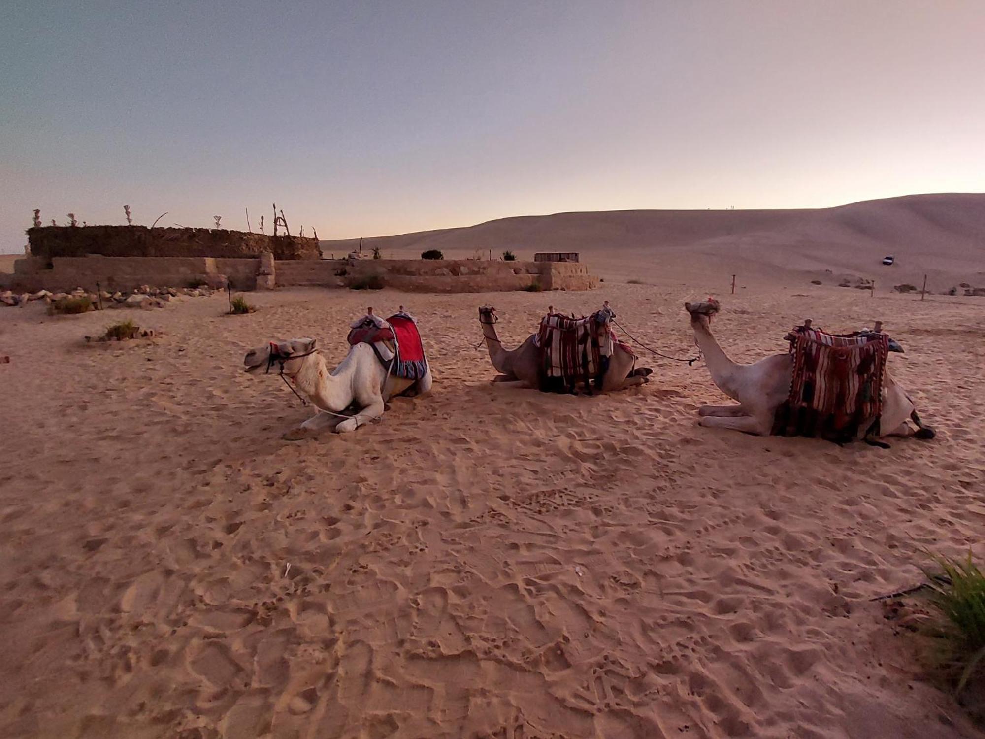 Hayaat Siwa Hot Spring Hotel Siwa Oasis Ngoại thất bức ảnh